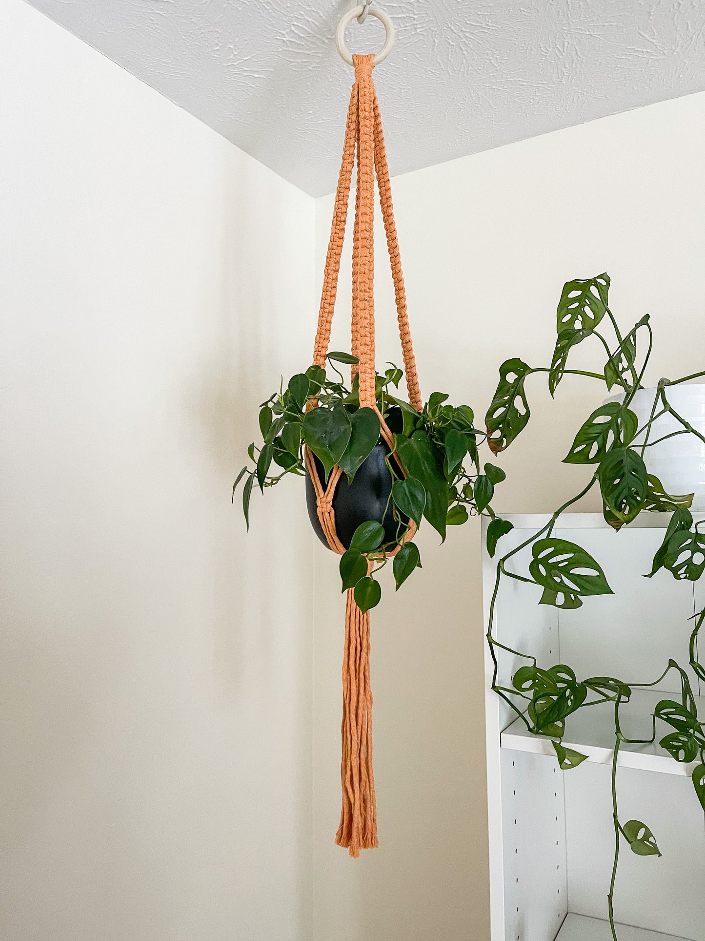 Caught a Vibe Plant Hanger